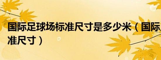 国际足球场标准尺寸是多少米（国际足球场标准尺寸）