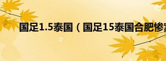 国足1.5泰国（国足15泰国合肥惨案）