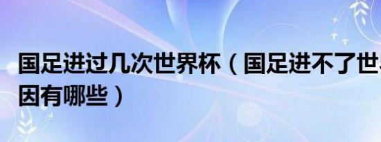 国足进过几次世界杯（国足进不了世界杯的原因有哪些）