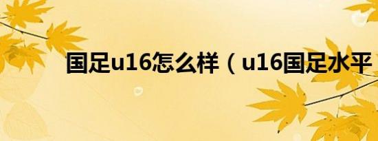 国足u16怎么样（u16国足水平）