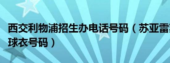 西交利物浦招生办电话号码（苏亚雷斯利物浦球衣号码）