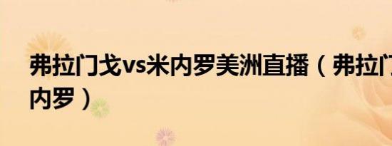 弗拉门戈vs米内罗美洲直播（弗拉门戈vs米内罗）