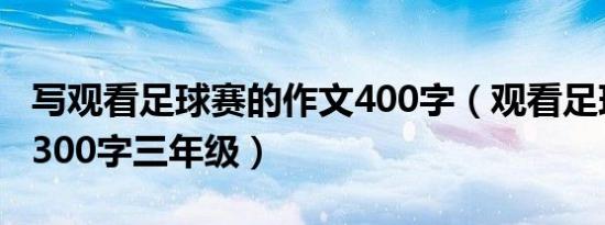 写观看足球赛的作文400字（观看足球赛作文300字三年级）