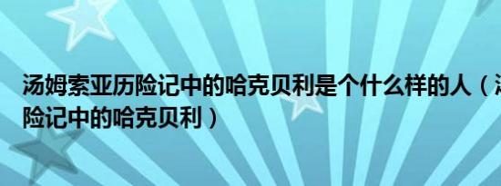 汤姆索亚历险记中的哈克贝利是个什么样的人（汤姆索亚历险记中的哈克贝利）