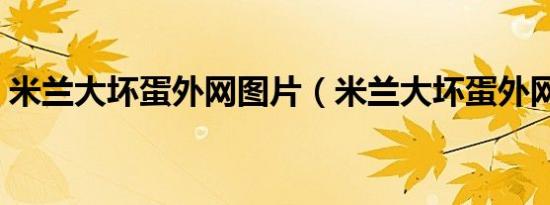 米兰大坏蛋外网图片（米兰大坏蛋外网照片）