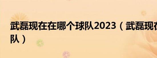 武磊现在在哪个球队2023（武磊现在哪个球队）