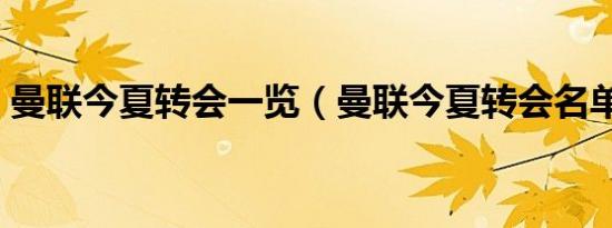 曼联今夏转会一览（曼联今夏转会名单公布）