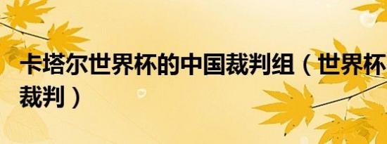 卡塔尔世界杯的中国裁判组（世界杯中国几名裁判）