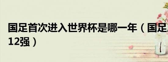 国足首次进入世界杯是哪一年（国足成功进入12强）