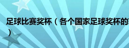 足球比赛奖杯（各个国家足球奖杯的获得情况）