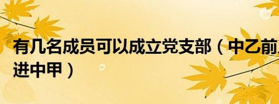 有几名成员可以成立党支部（中乙前几名可以进中甲）