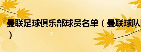 曼联足球俱乐部球员名单（曼联球队队员名单）