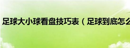 足球大小球看盘技巧表（足球到底怎么看盘）