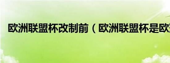 欧洲联盟杯改制前（欧洲联盟杯是欧冠吗）