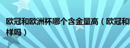 欧冠和欧洲杯哪个含金量高（欧冠和欧洲杯一样吗）