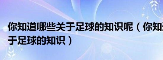 你知道哪些关于足球的知识呢（你知道哪些关于足球的知识）