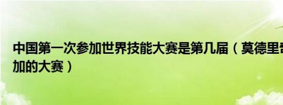 中国第一次参加世界技能大赛是第几届（莫德里奇第一次参加的大赛）