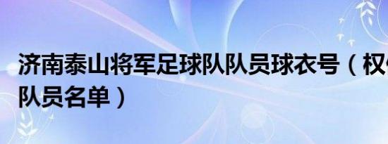 济南泰山将军足球队队员球衣号（权健足球队队员名单）