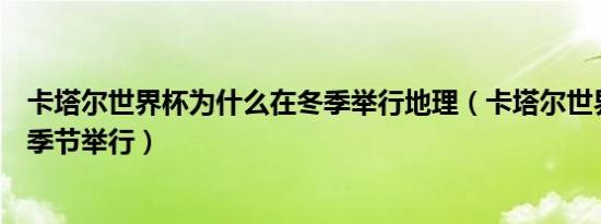 卡塔尔世界杯为什么在冬季举行地理（卡塔尔世界杯在什么季节举行）