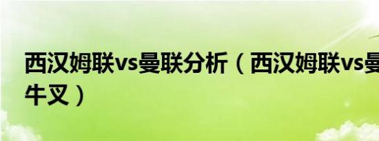 西汉姆联vs曼联分析（西汉姆联vs曼联NBA牛叉）