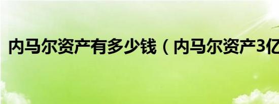 内马尔资产有多少钱（内马尔资产3亿美元）