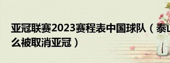 亚冠联赛2023赛程表中国球队（泰山队为什么被取消亚冠）