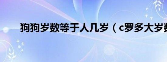 狗狗岁数等于人几岁（c罗多大岁数）