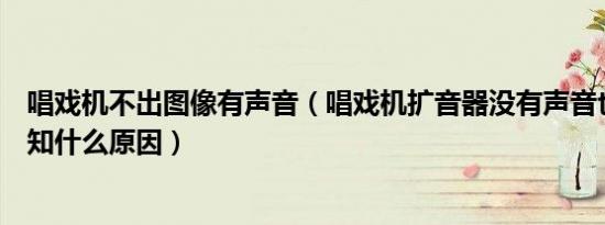 唱戏机不出图像有声音（唱戏机扩音器没有声音也没影像不知什么原因）