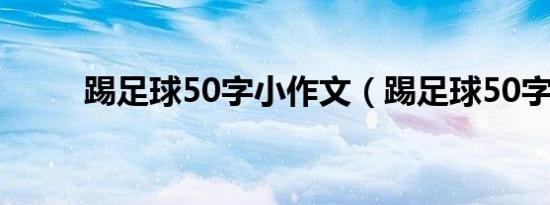 踢足球50字小作文（踢足球50字）