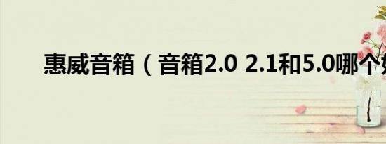 惠威音箱（音箱2.0 2.1和5.0哪个好）