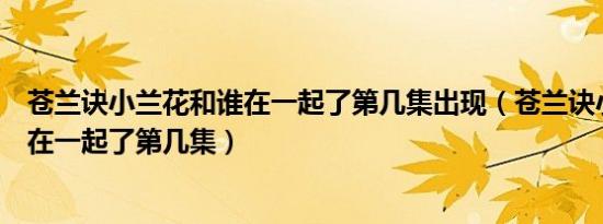 苍兰诀小兰花和谁在一起了第几集出现（苍兰诀小兰花和谁在一起了第几集）