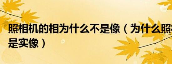 照相机的相为什么不是像（为什么照相机的像是实像）