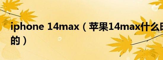 iphone 14max（苹果14max什么时候上市的）