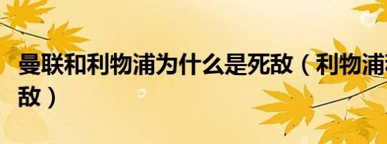 曼联和利物浦为什么是死敌（利物浦和谁是死敌）