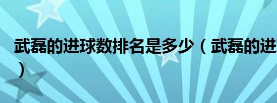 武磊的进球数排名是多少（武磊的进球数排名）