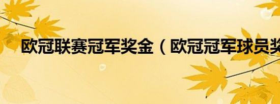 欧冠联赛冠军奖金（欧冠冠军球员奖金）