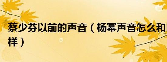 蔡少芬以前的声音（杨幂声音怎么和以前不一样）