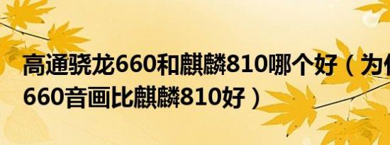 高通骁龙660和麒麟810哪个好（为什么骁龙660音画比麒麟810好）