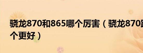 骁龙870和865哪个厉害（骁龙870跟865哪个更好）