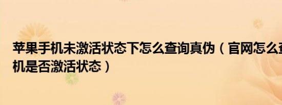 苹果手机未激活状态下怎么查询真伪（官网怎么查询苹果手机是否激活状态）