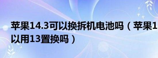 苹果14.3可以换拆机电池吗（苹果14出来可以用13置换吗）