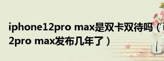 iphone12pro max是双卡双待吗（iphone12pro max发布几年了）