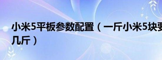 小米5平板参数配置（一斤小米5块要二十元几斤）