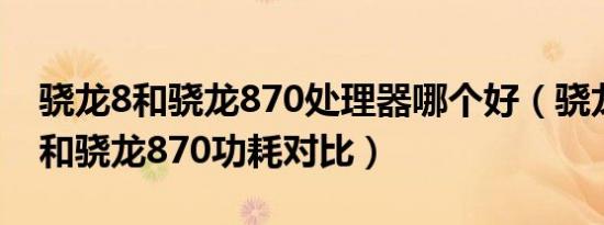 骁龙8和骁龙870处理器哪个好（骁龙8 plus和骁龙870功耗对比）