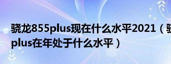 骁龙855plus现在什么水平2021（骁龙855 plus在年处于什么水平）