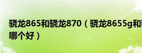 骁龙865和骁龙870（骁龙8655g和骁龙865哪个好）