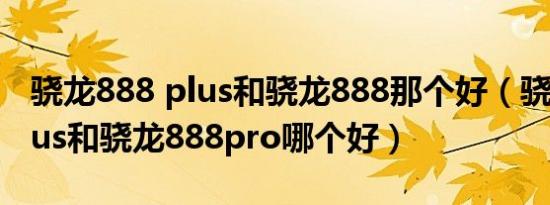 骁龙888 plus和骁龙888那个好（骁龙888plus和骁龙888pro哪个好）