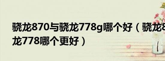 骁龙870与骁龙778g哪个好（骁龙870与骁龙778哪个更好）