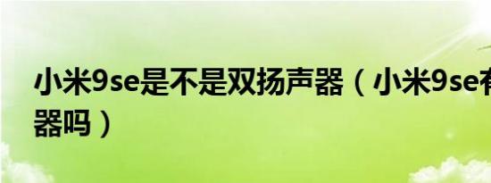 小米9se是不是双扬声器（小米9se有双扬声器吗）