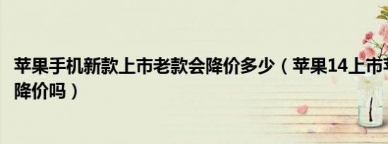 苹果手机新款上市老款会降价多少（苹果14上市苹果12还会降价吗）